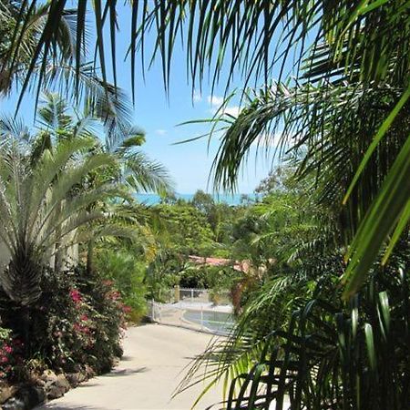 Reefside Villas - Whitsundays Эйрли-Бич Экстерьер фото